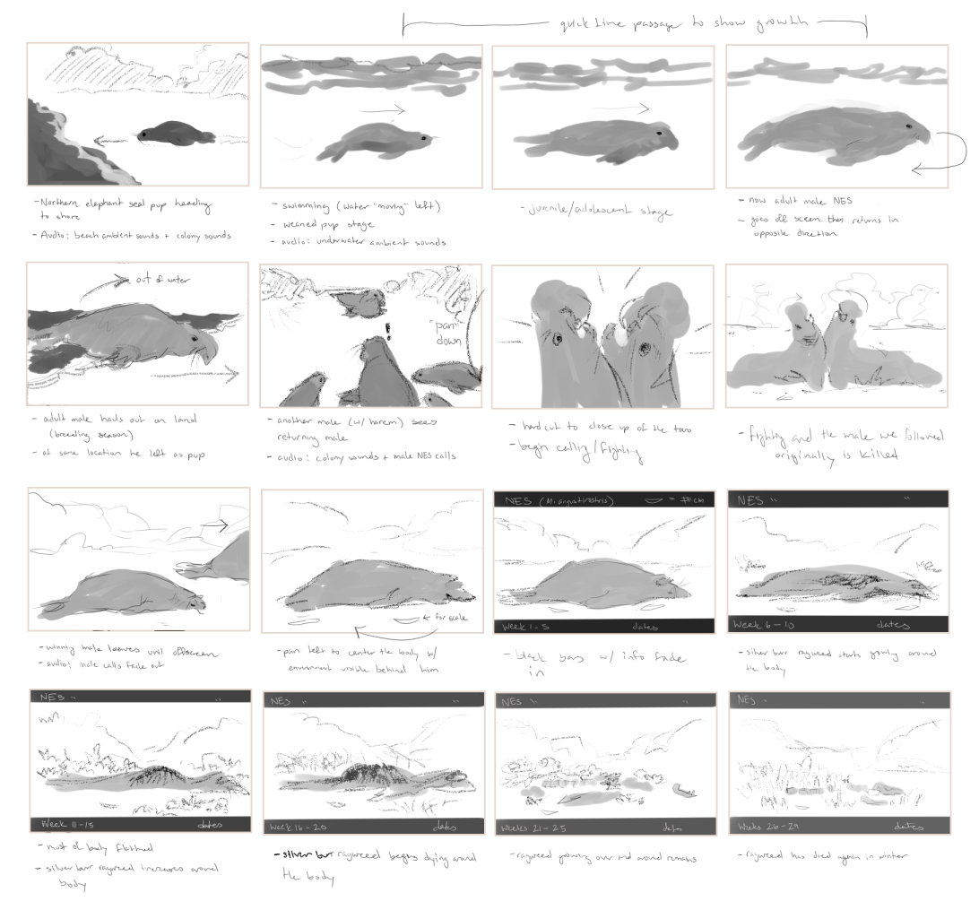 Storyboard